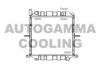 AUTOGAMMA 105691 Radiator, engine cooling